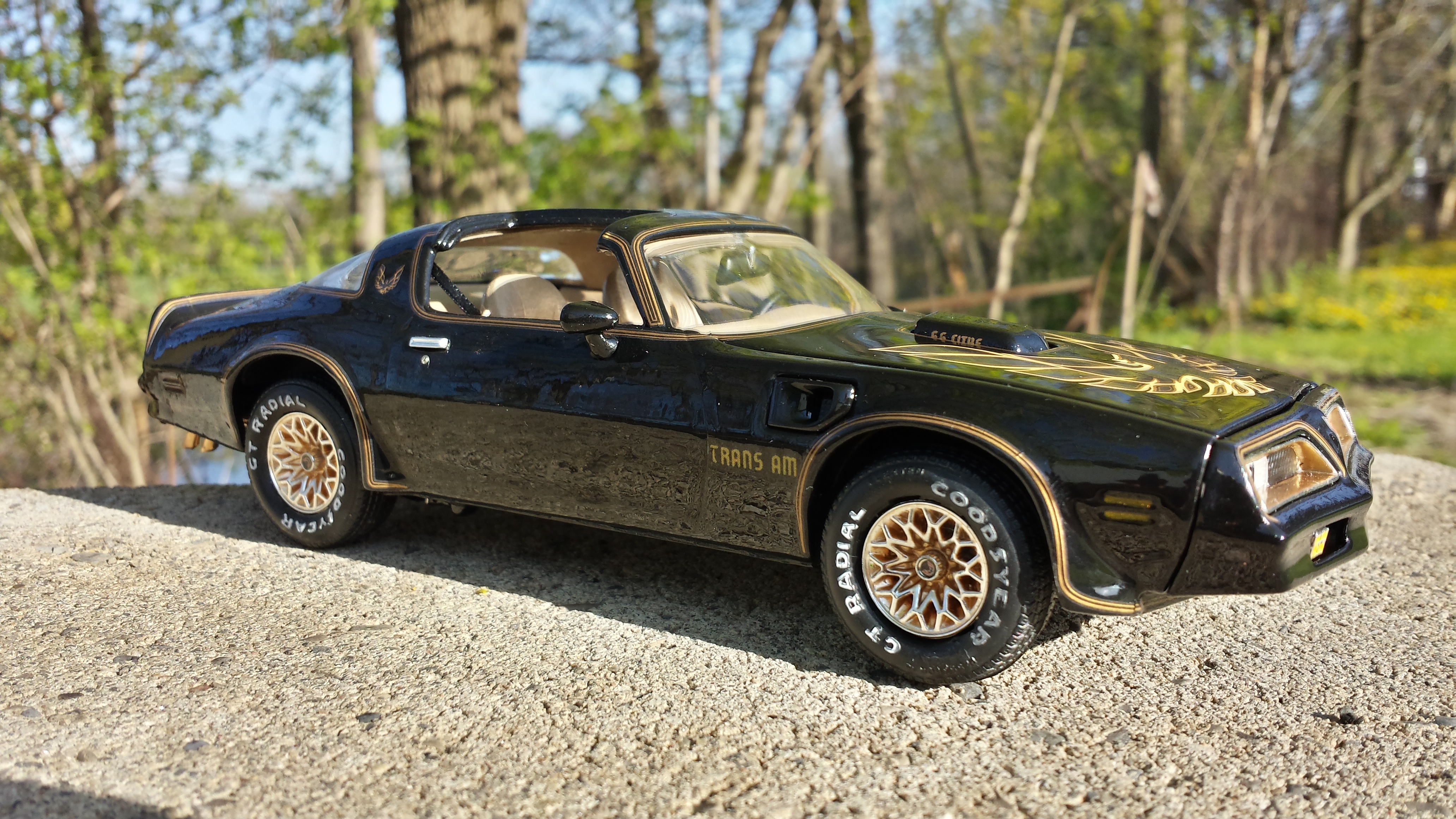 revell trans am