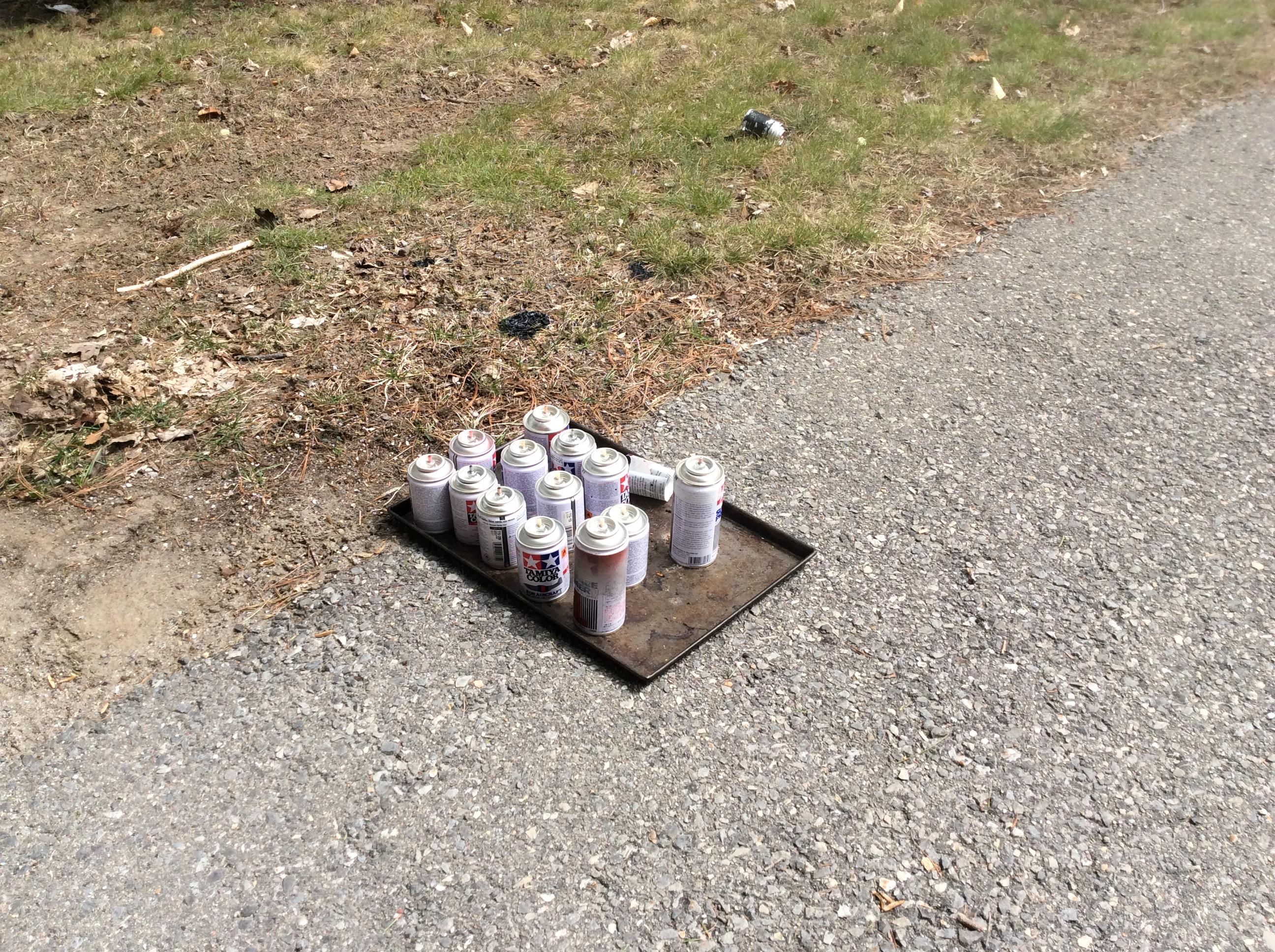 Decanting spray paint Model Building Questions and Answers Model