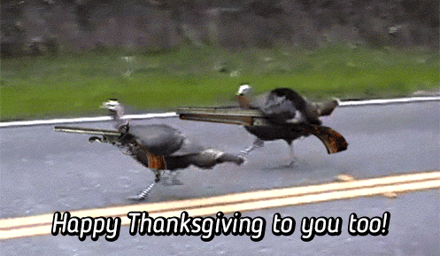 Thanksgiving college game