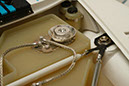 IPMS 2010 -_0300