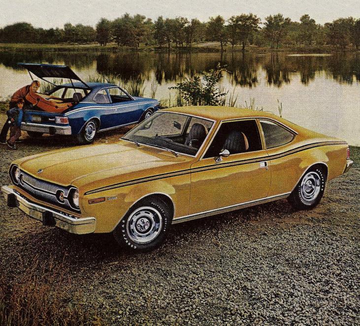 amc_hornet_73[1].jpg