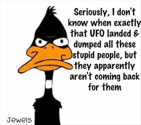 Annoyed-Daffy-Duck-Quote-On-Stupid-Peopl