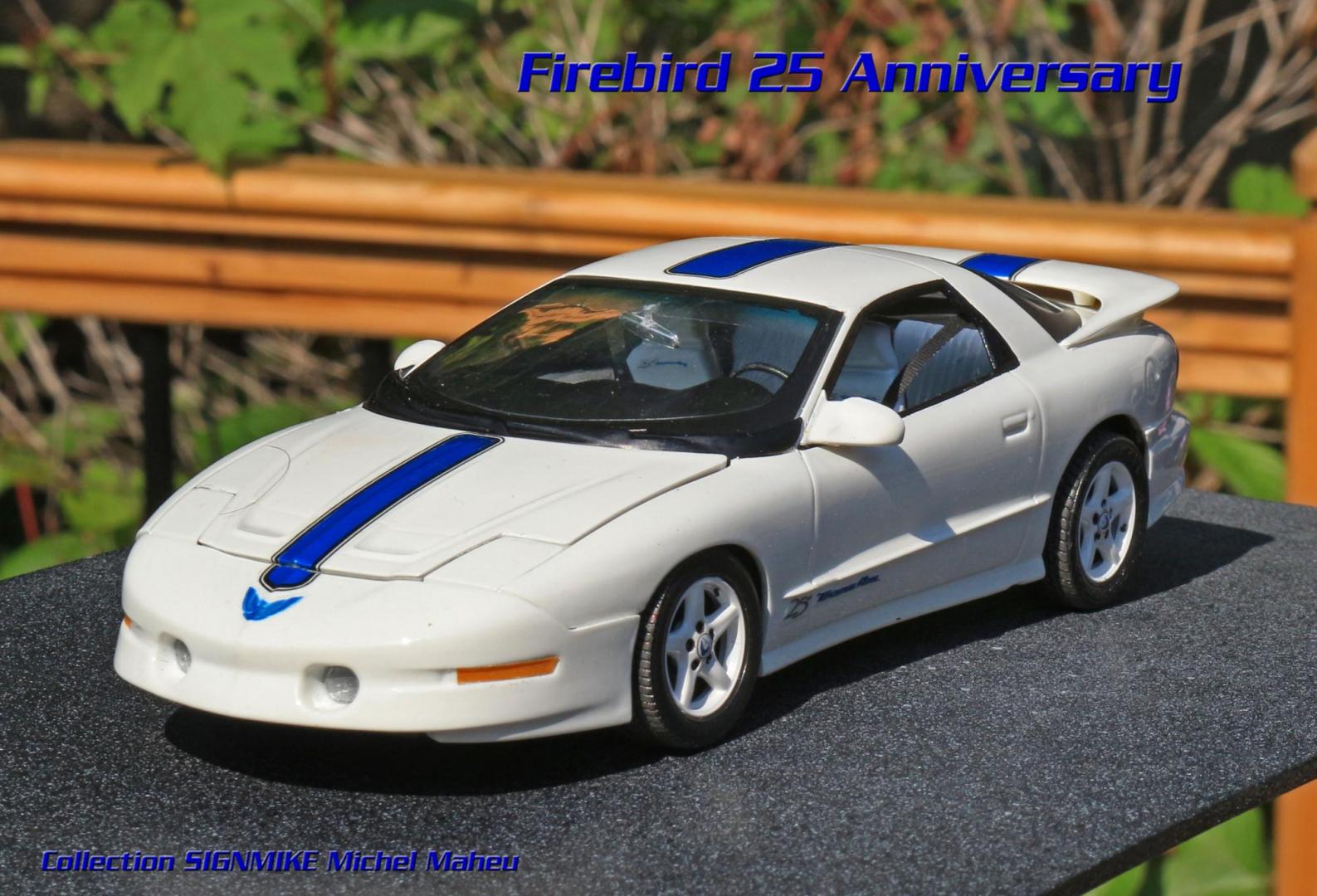Firebird TransAm 25e anniversaire (24).JPG