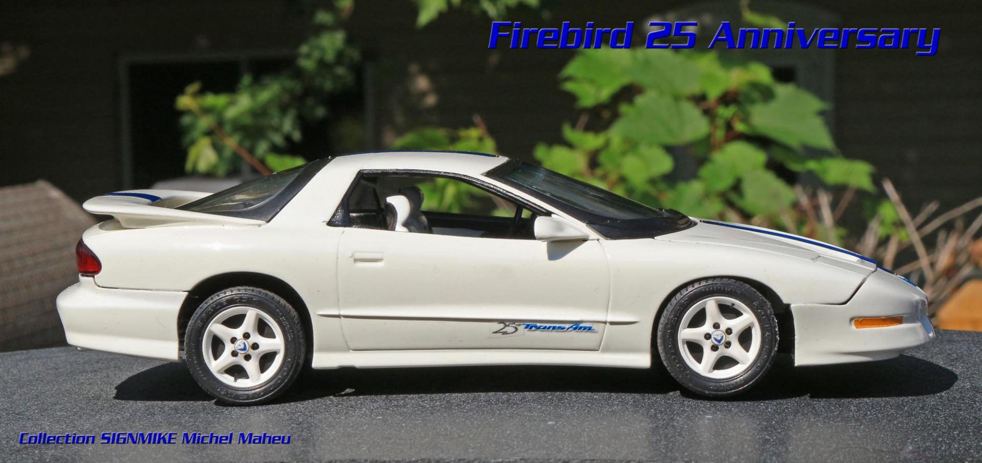 Firebird TransAm 25e anniversaire (26).JPG