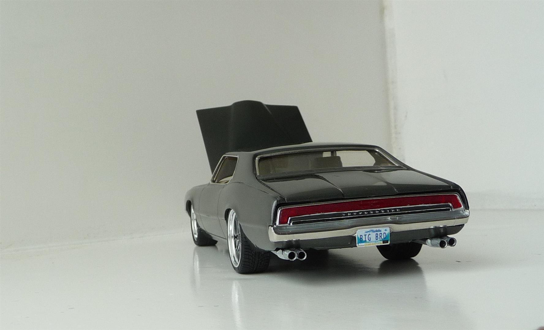 P1130127 (Large).JPG