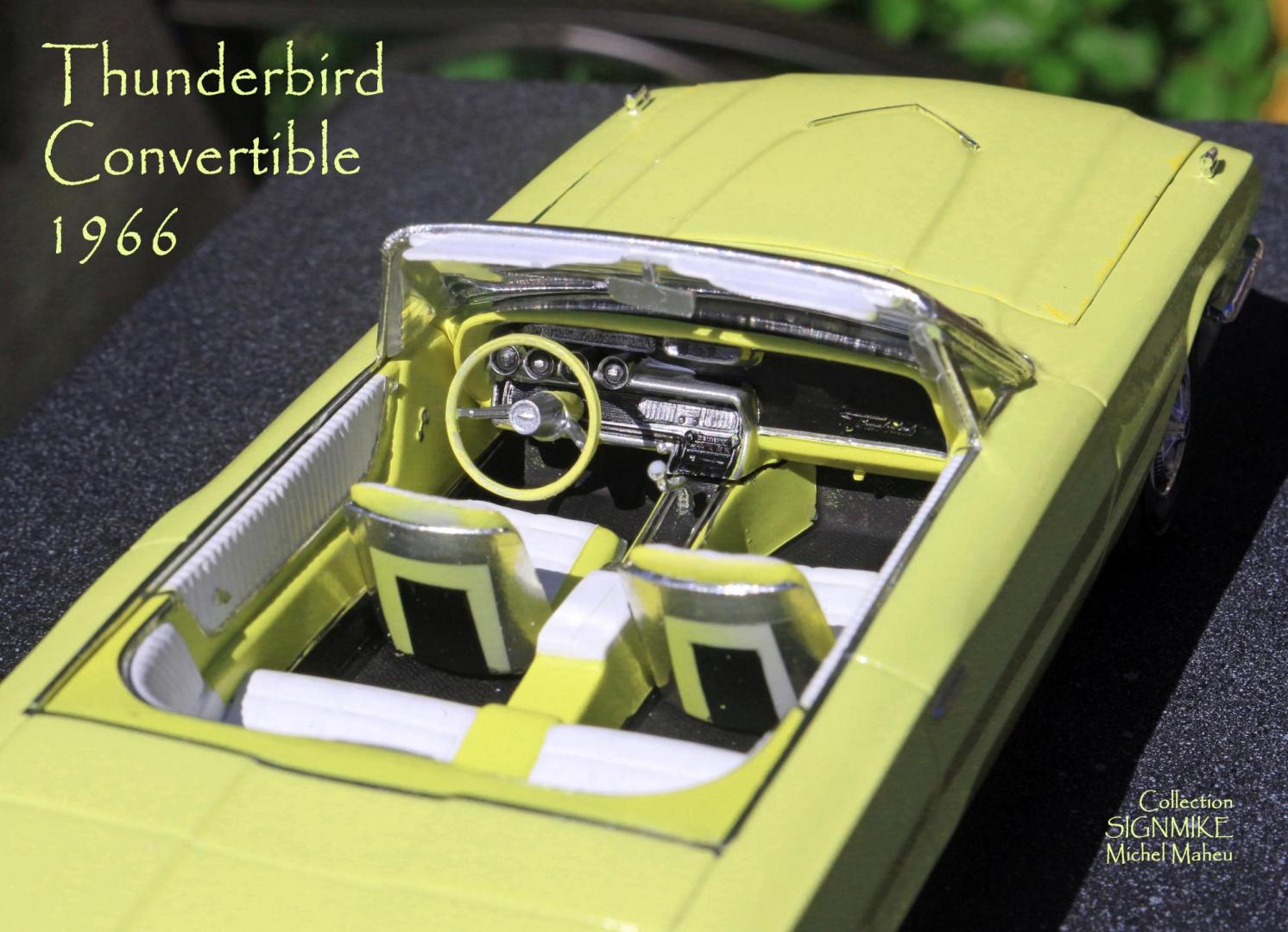 Thunderbird 1966 (11).JPG