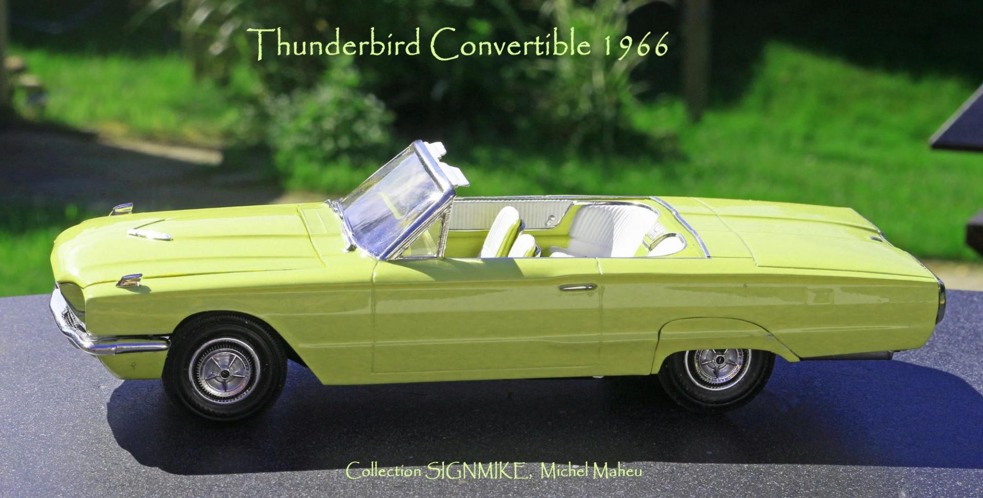 Thunderbird 1966 (13).JPG