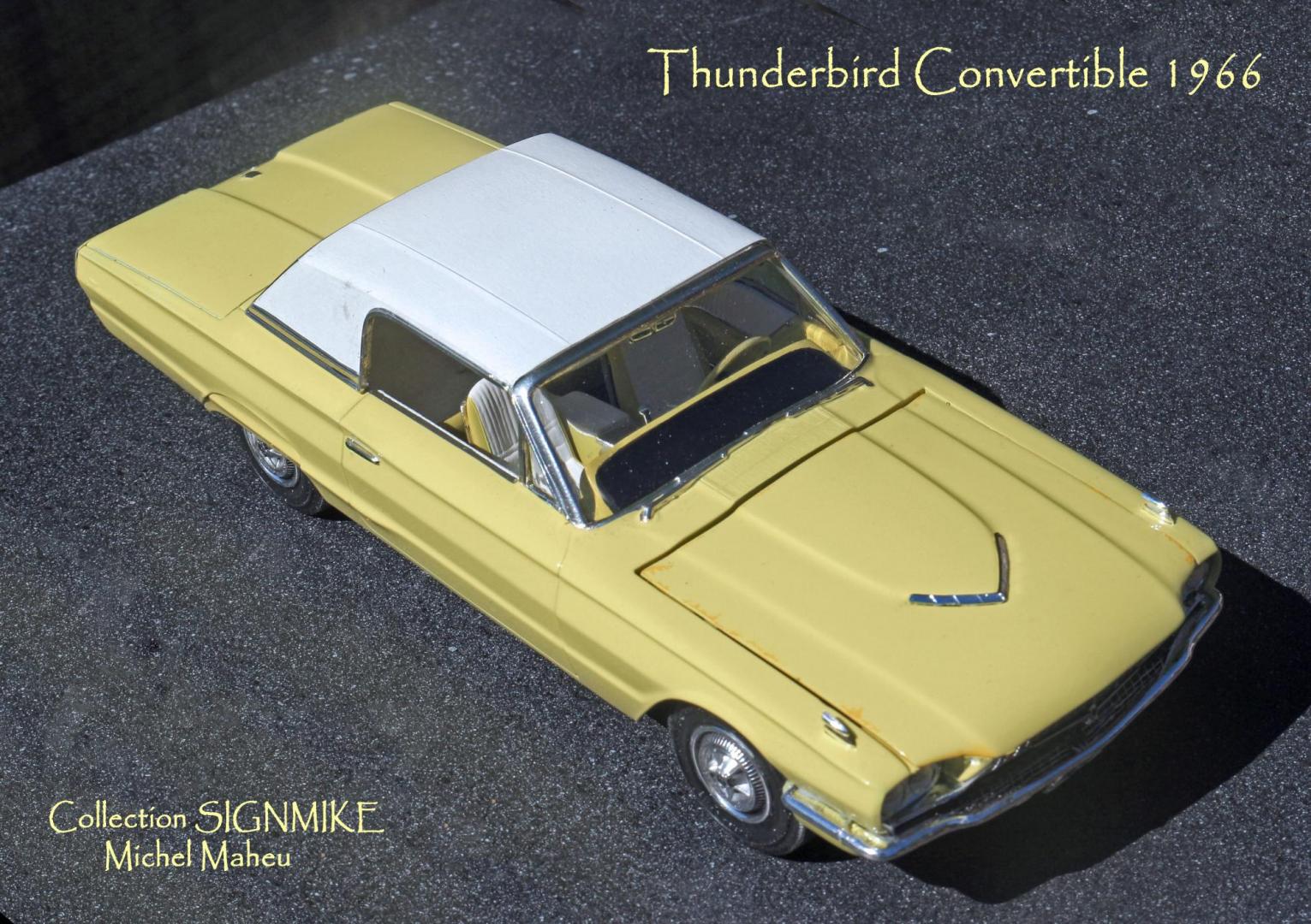 Thunderbird 1966 (17).JPG