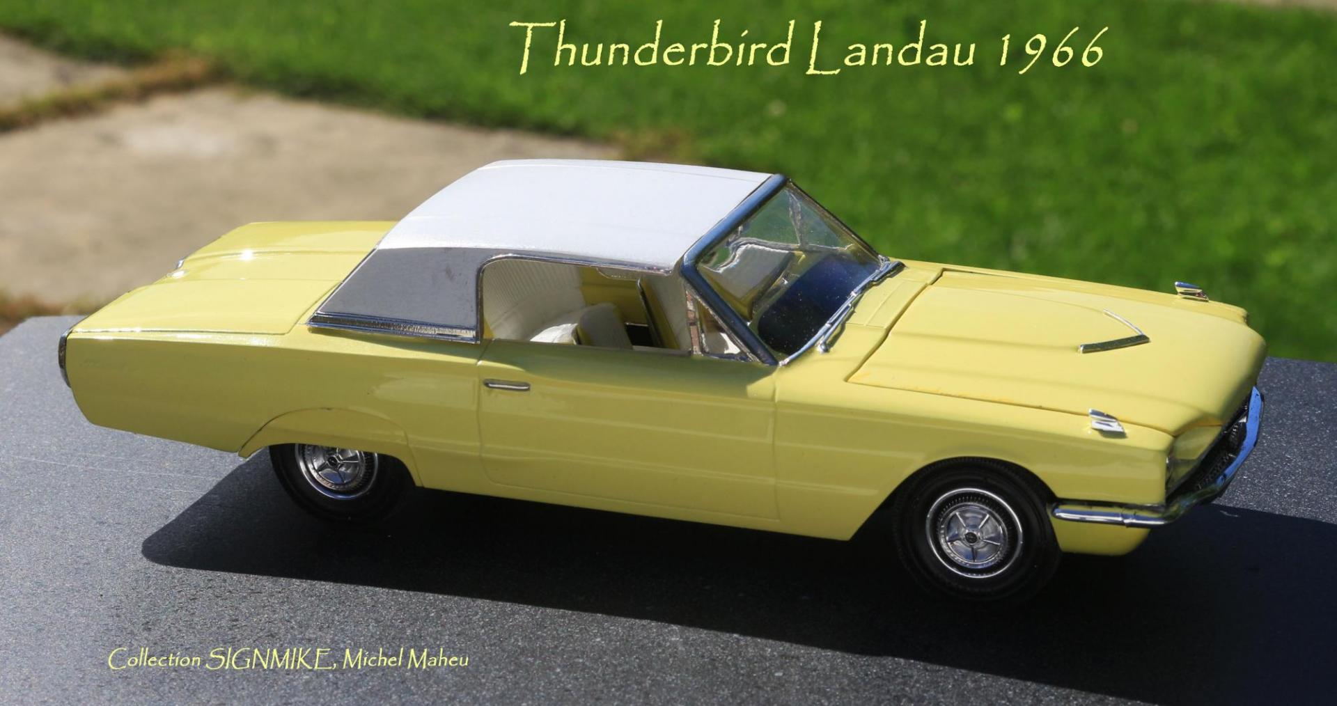 Thunderbird 1966 (8).JPG