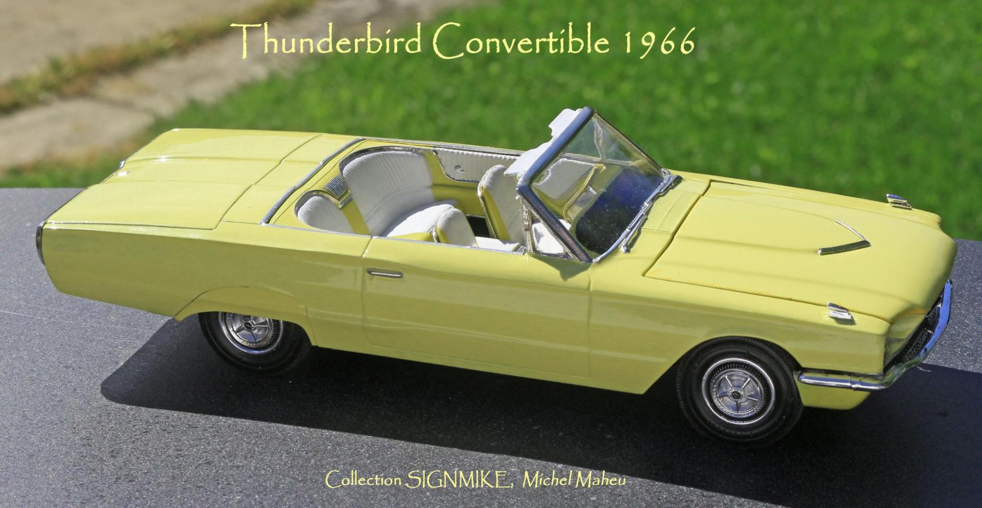 Thunderbird 1966 (9).JPG