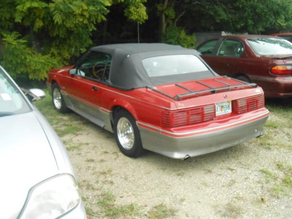 DSCN0327.thumb.JPG.4deee27067e82353e7b43