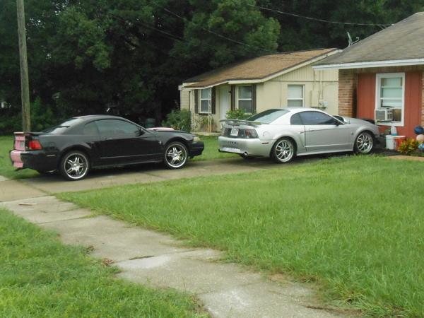 DSCN0333.thumb.JPG.f19d7975bd892954ce29f