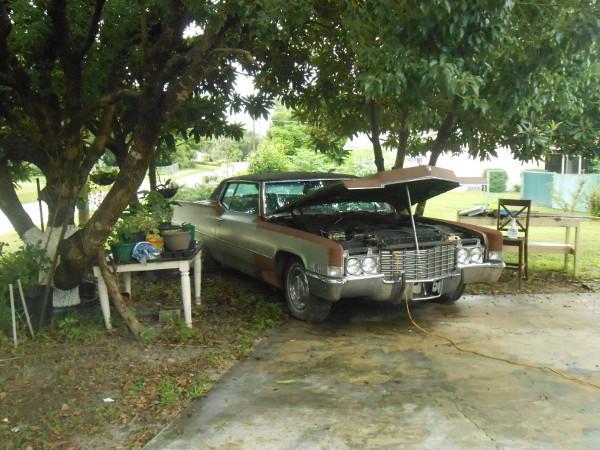 DSCN0337.thumb.JPG.b187f3fda9180208cc994