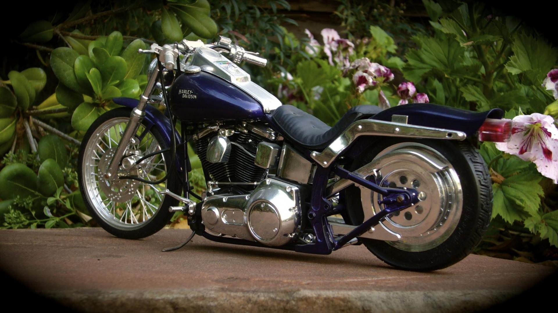 L1150678.thumb.JPG.848f105e09061231592fd