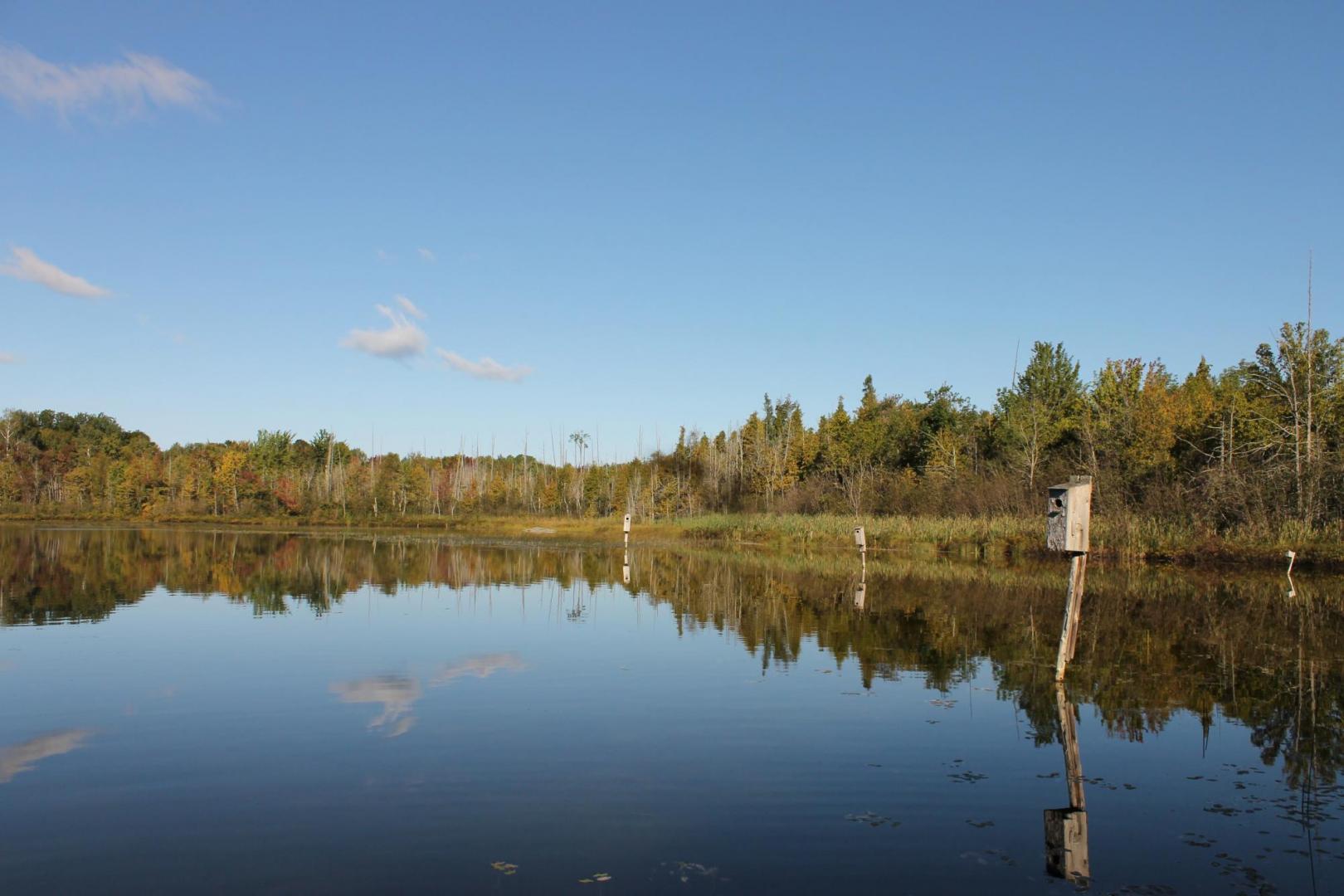 IMG_5962.thumb.JPG.57a9edb2304f82eee4791