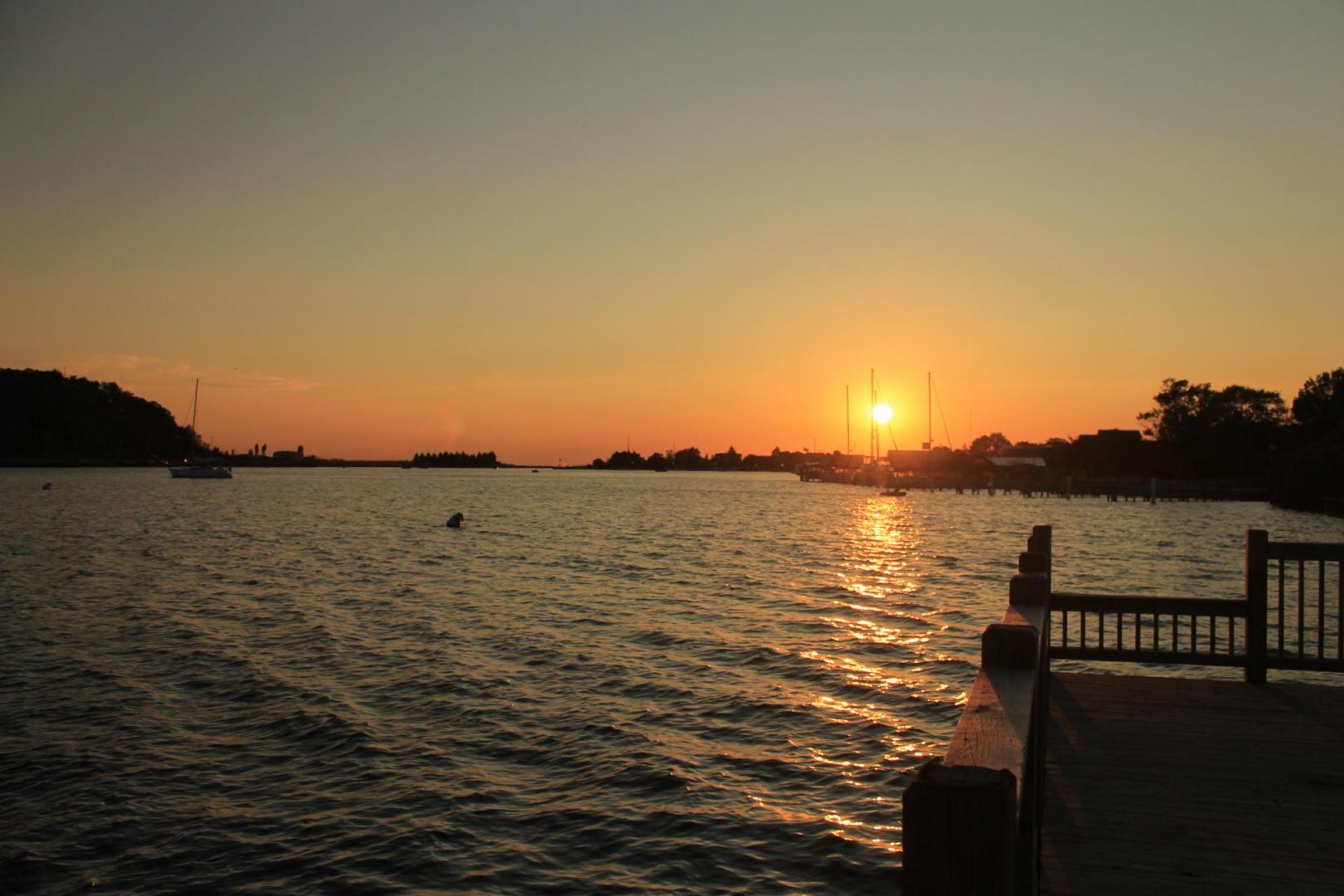 IMG_6348.thumb.JPG.b44016065dbe5dae988ee