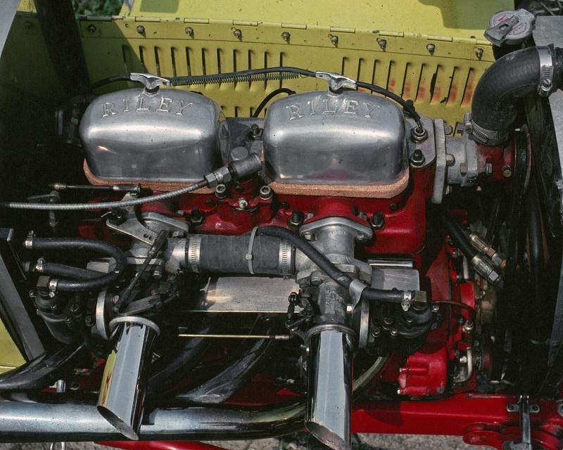 Riley.thumb.jpg.c835dad3cf38ab1c1b467333