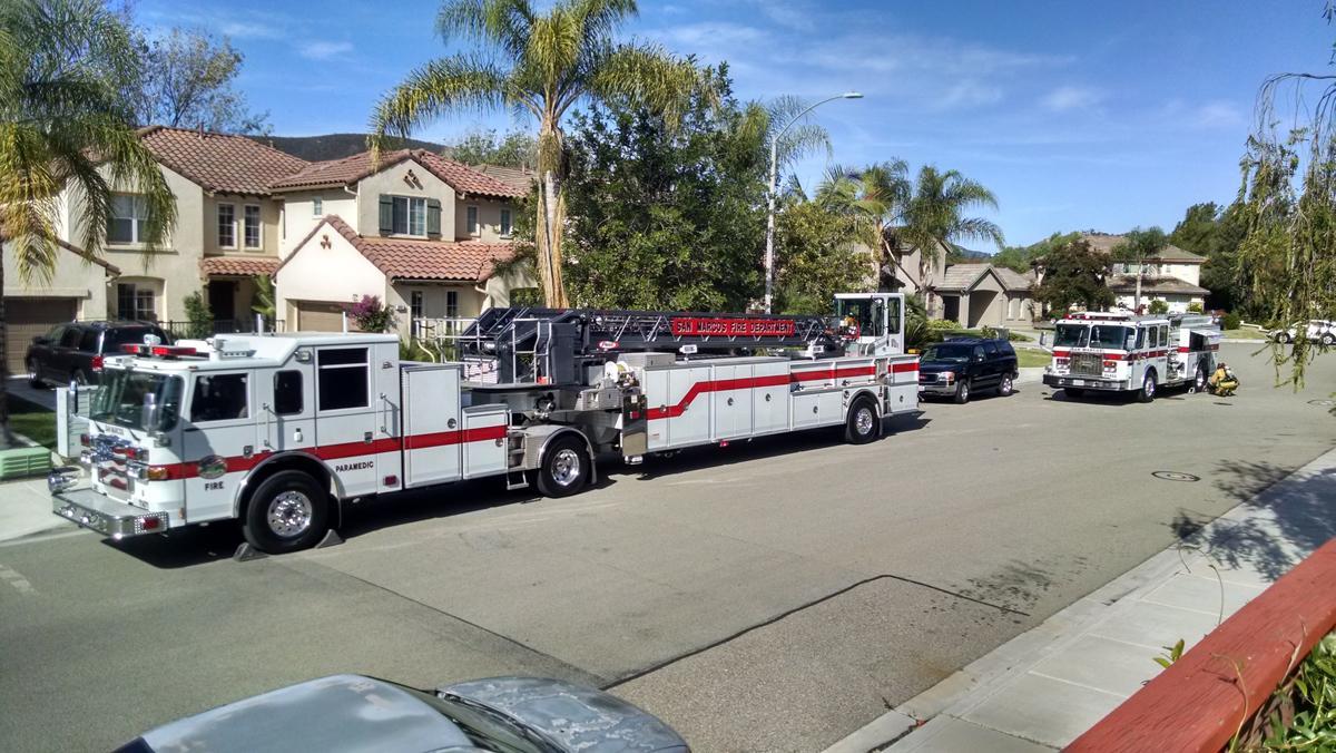 FD in the back yard.jpg