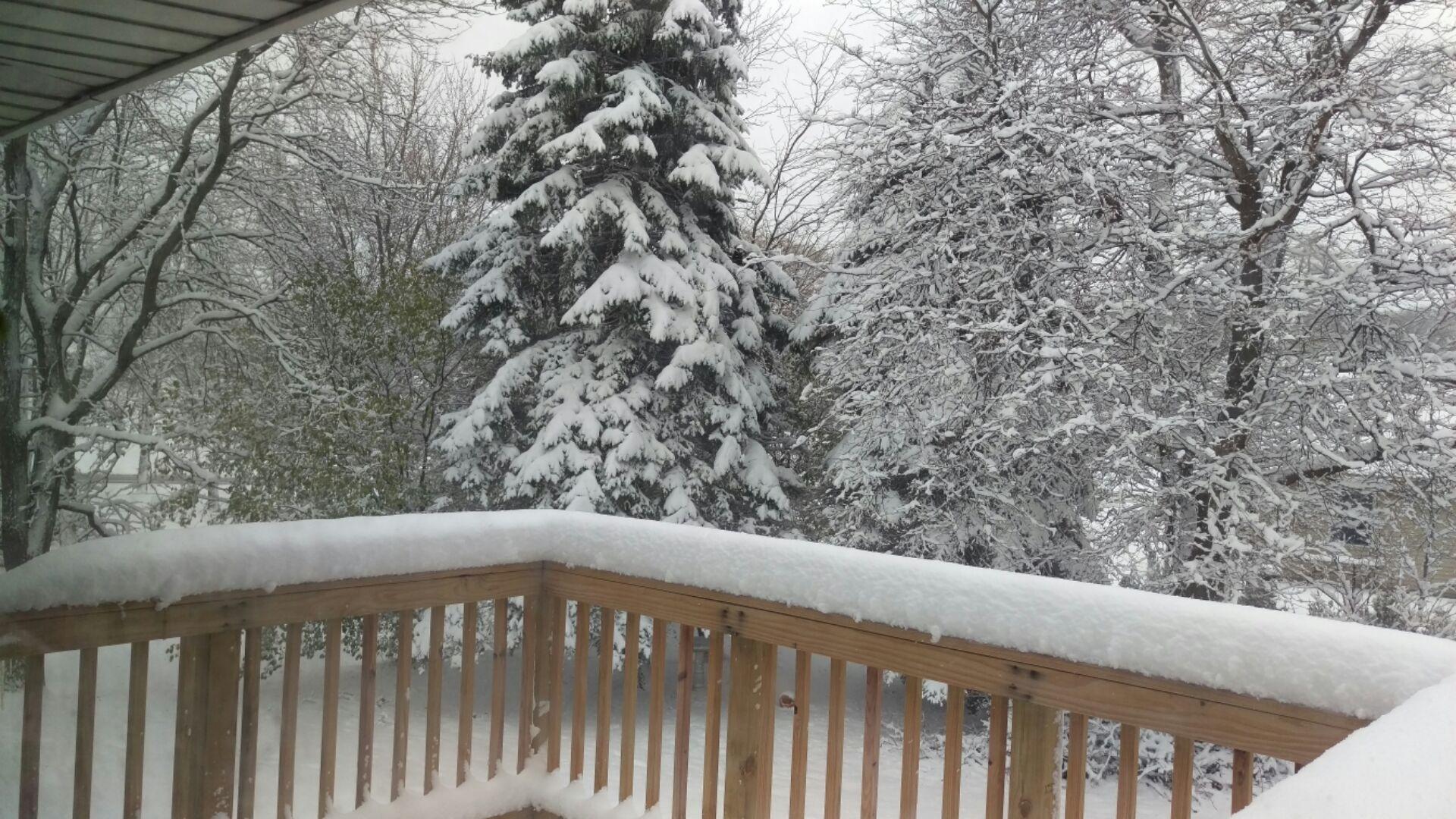 ajhbh.thumb.jpg.4835afbe39c90738b21c3b8d