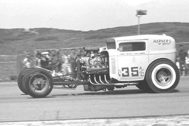 poinsettia plants.jpg