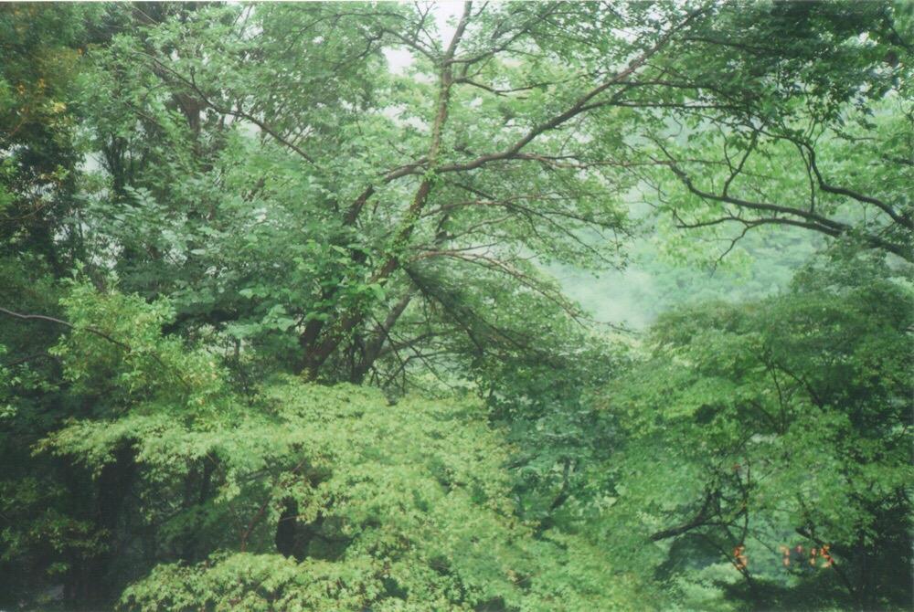 40dd563d269759ee4a373dd0b4fb43166d22df69