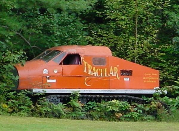 Tracular seen in Hillsboro NH [01].jpg