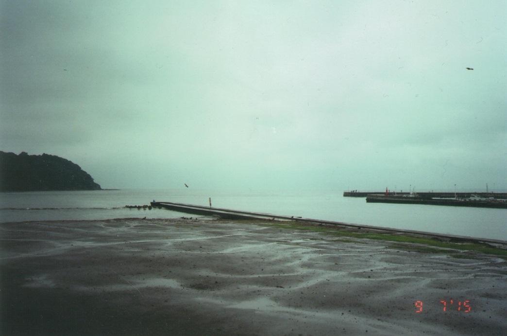 5674184395003_002_.thumb.jpg.177dceba865