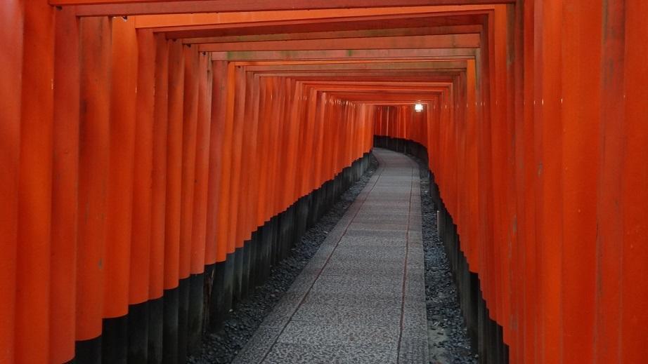 DSC09292.thumb.jpg.acb8f46c539847b667adc