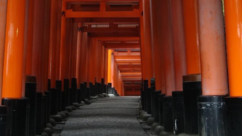 DSC09294.thumb.jpg.1a80624f26433bec0c005