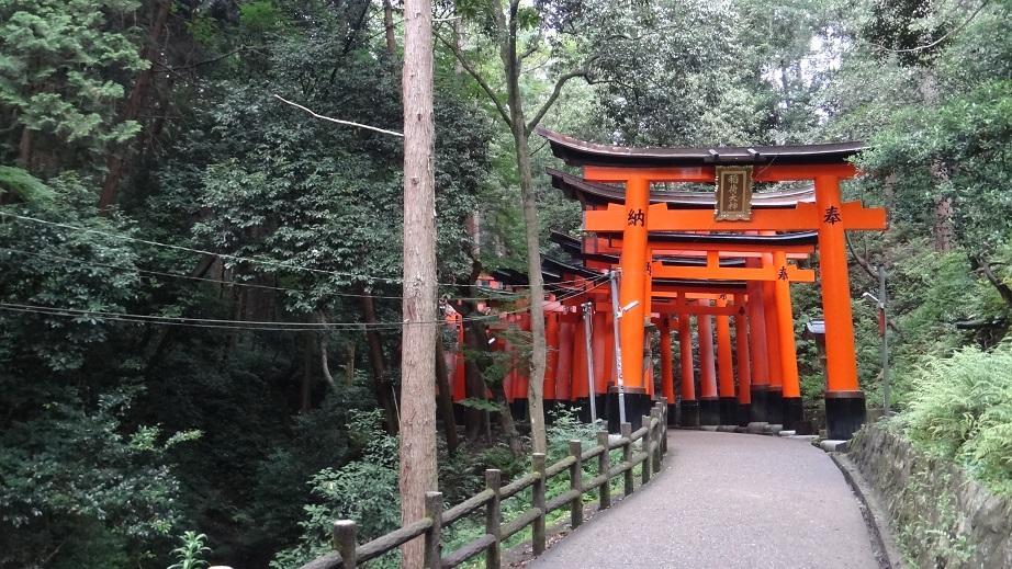 DSC09300.thumb.jpg.09d51a2419d8cb27be656