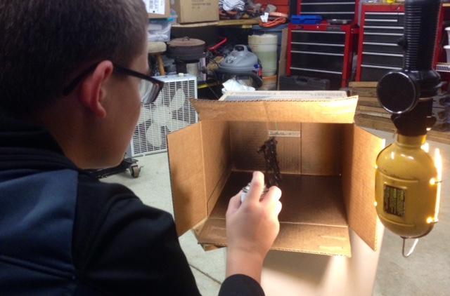 FullSizeRender.thumb.jpg.a0186fbc3dc958b