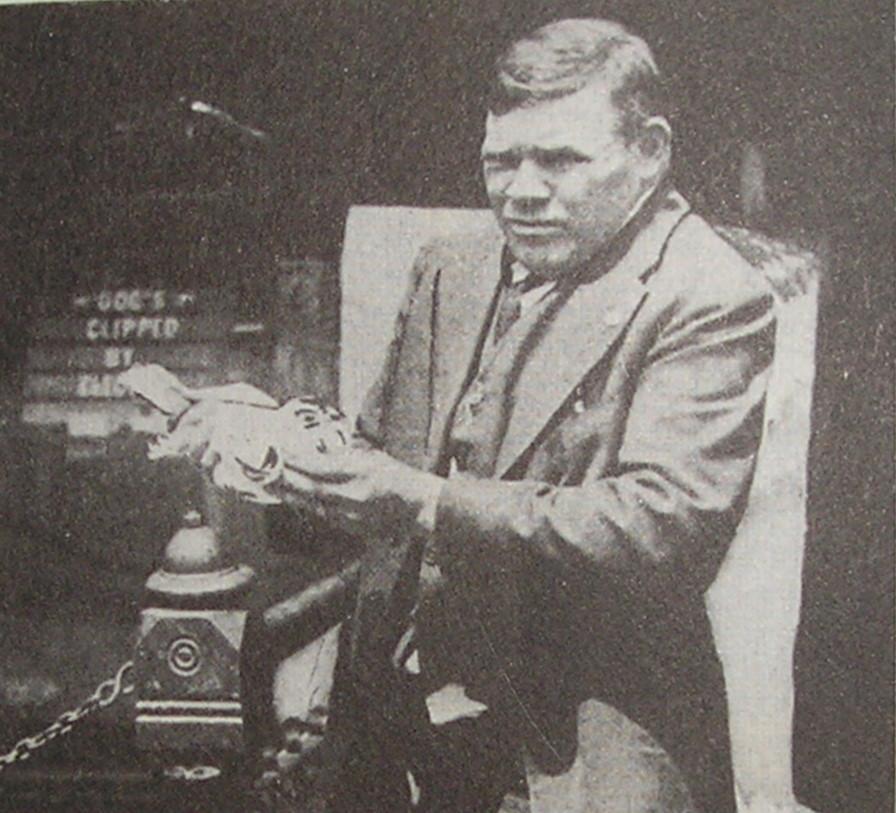 HumptyJackson.thumb.JPG.c0d883356113648d