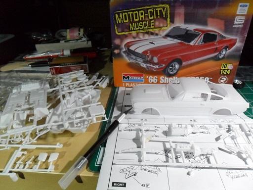 SAM_0290.thumb.JPG.ec2e2d597a4f419042a6d