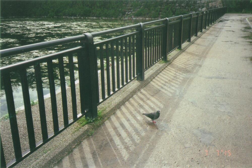 c234642762d0f703e0d5c8c70efa513d2697c569