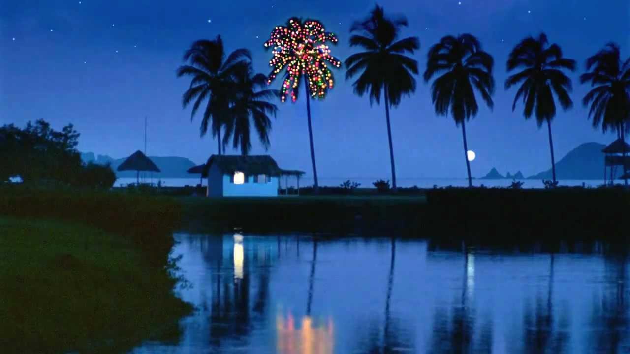 christmas palm.jpg