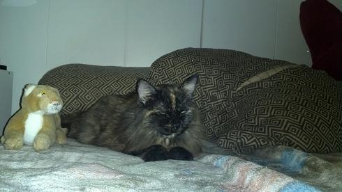 hooch.thumb.jpg.6b23e74b9c814a9e398dd861