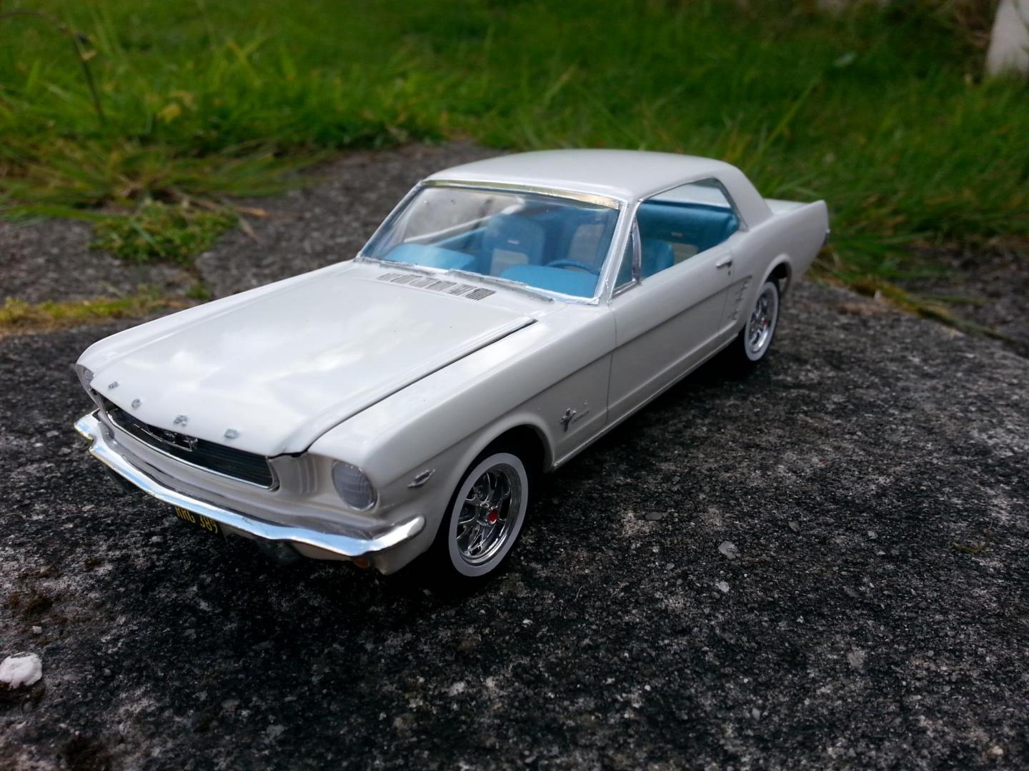 2015-05-29 18.03.53.jpg