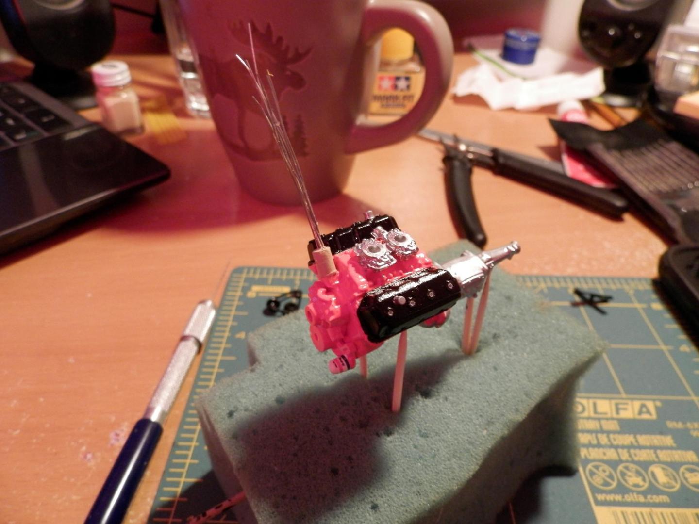 P2010001.thumb.JPG.32c1c4d2e4a9e822795d8