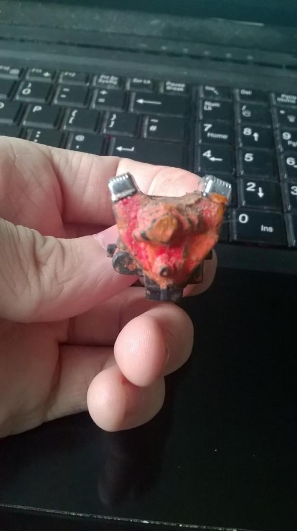 WP_20160217_10_56_21_Pro.thumb.jpg.8d86a