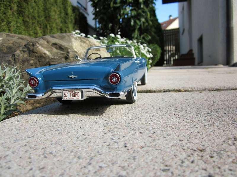 comp_4.thumb.jpg.5c74851edb6673a3bbbef54