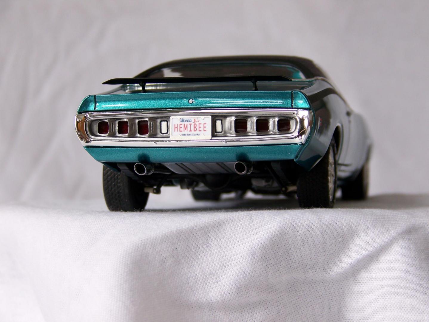 100_2557.thumb.jpg.6eac7bb207f590280118c