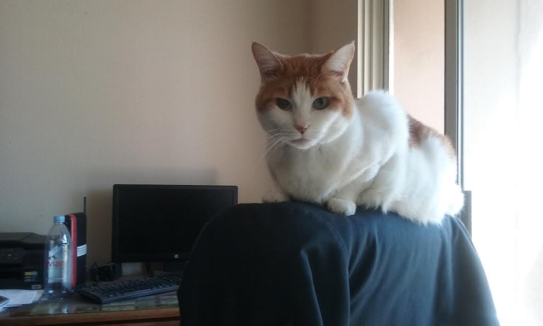 572161ff8950c_01apr20161525hrsoliver.thu