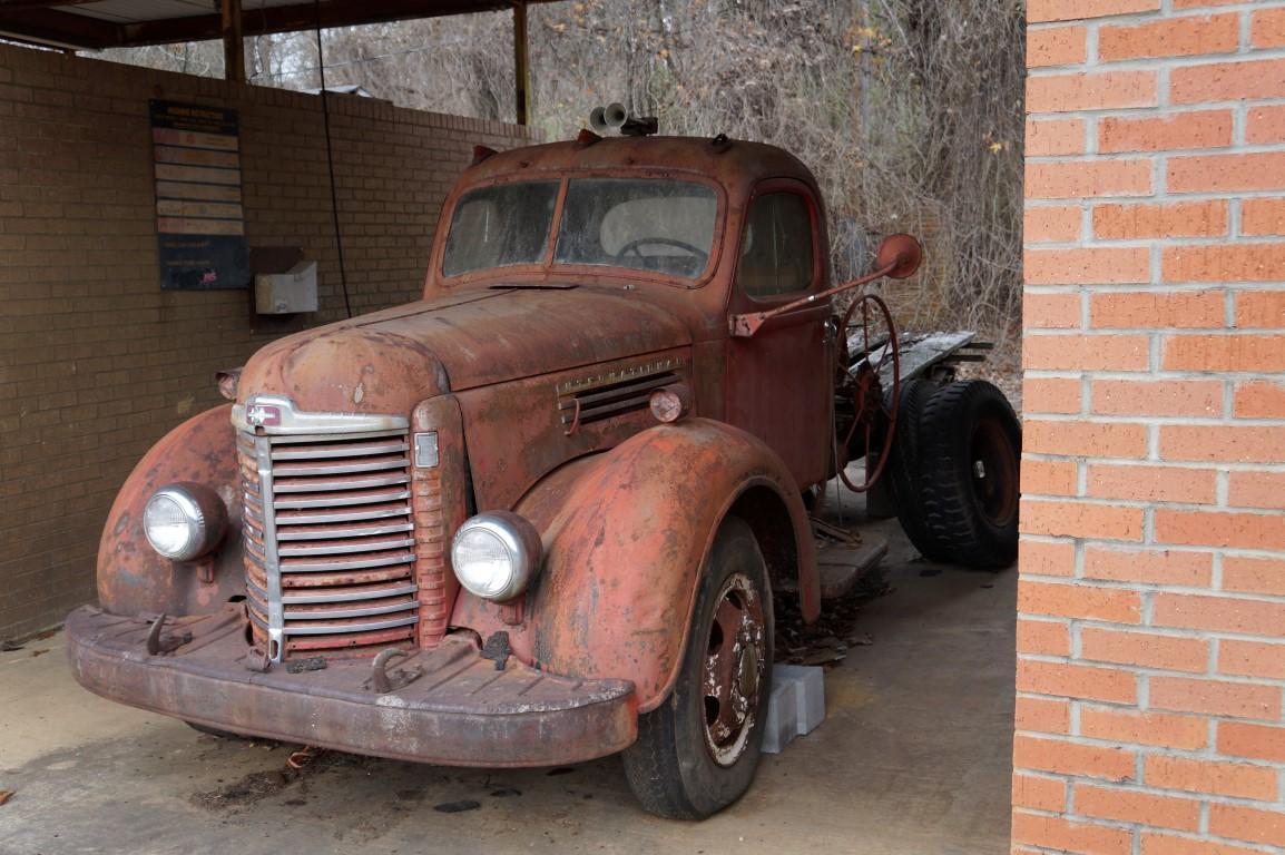 DSC00387 (Medium).JPG