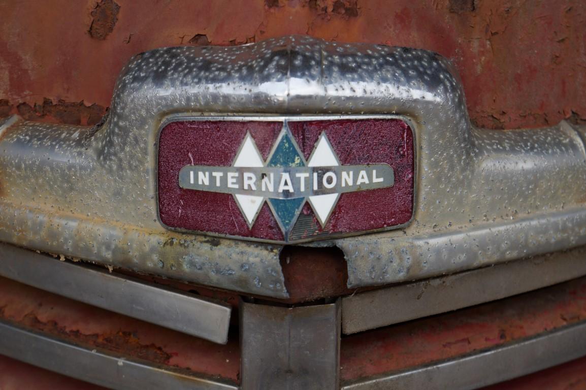 DSC00391 (Medium).JPG