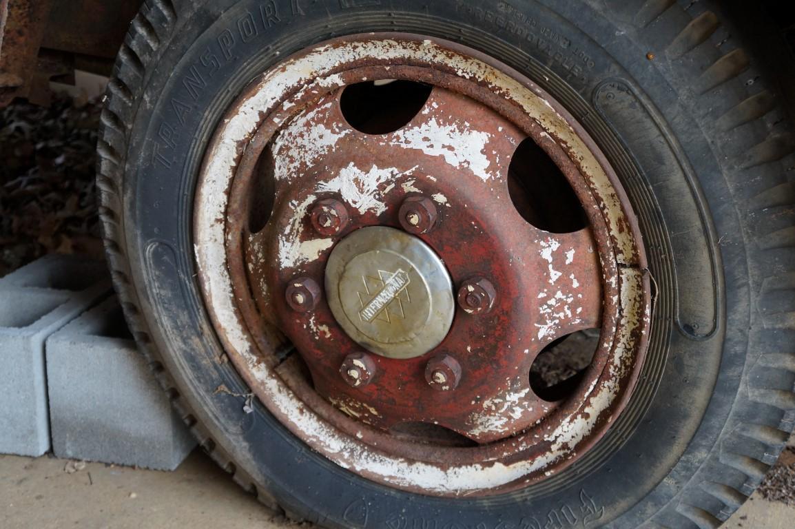 DSC00393 (Medium).JPG