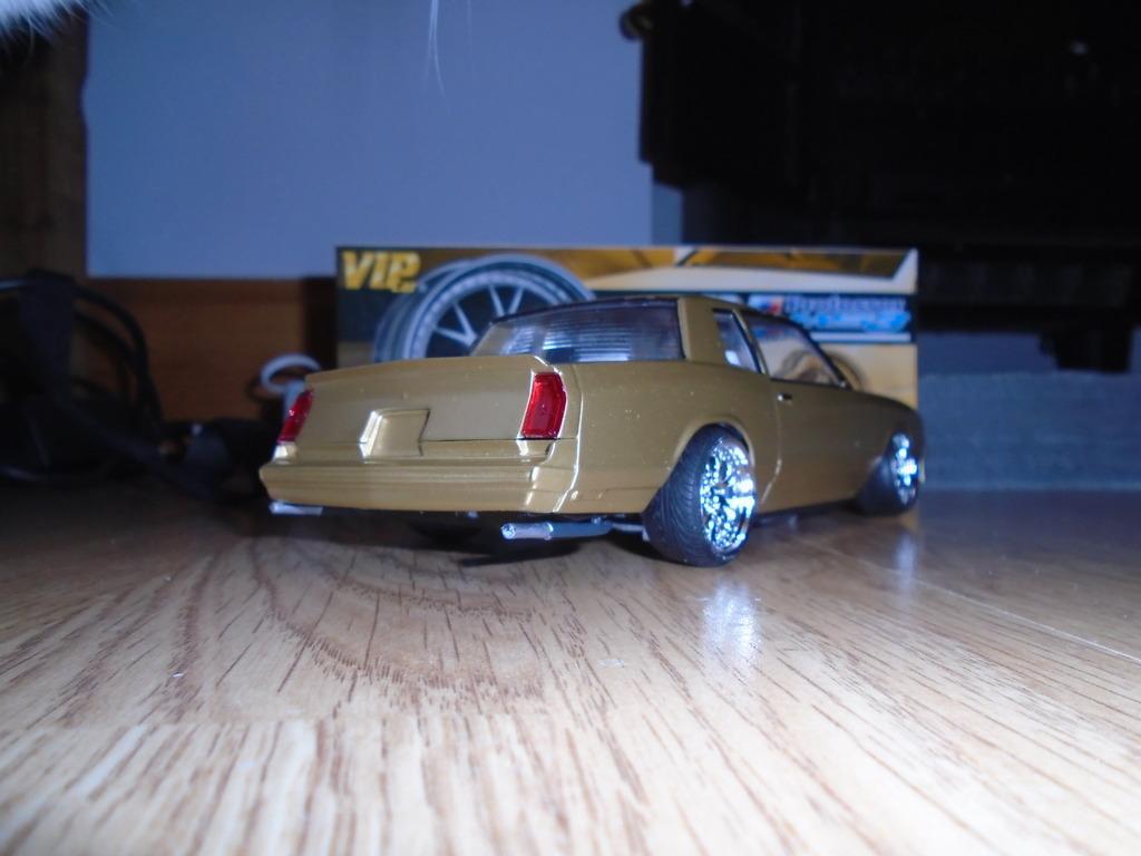 DSC01572_zps5srvw9cm.thumb.jpg.50e62d652