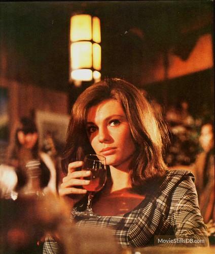 bullitt.thumb.jpg.eb07f34896a8b6071955cf