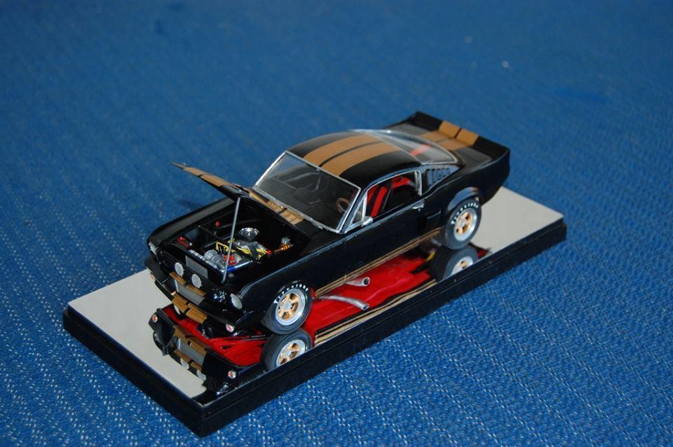 11391409_1095919420424809_16931642283130