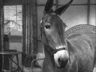 18492-6743.thumb.gif.ce15ddde2f45a6337bc