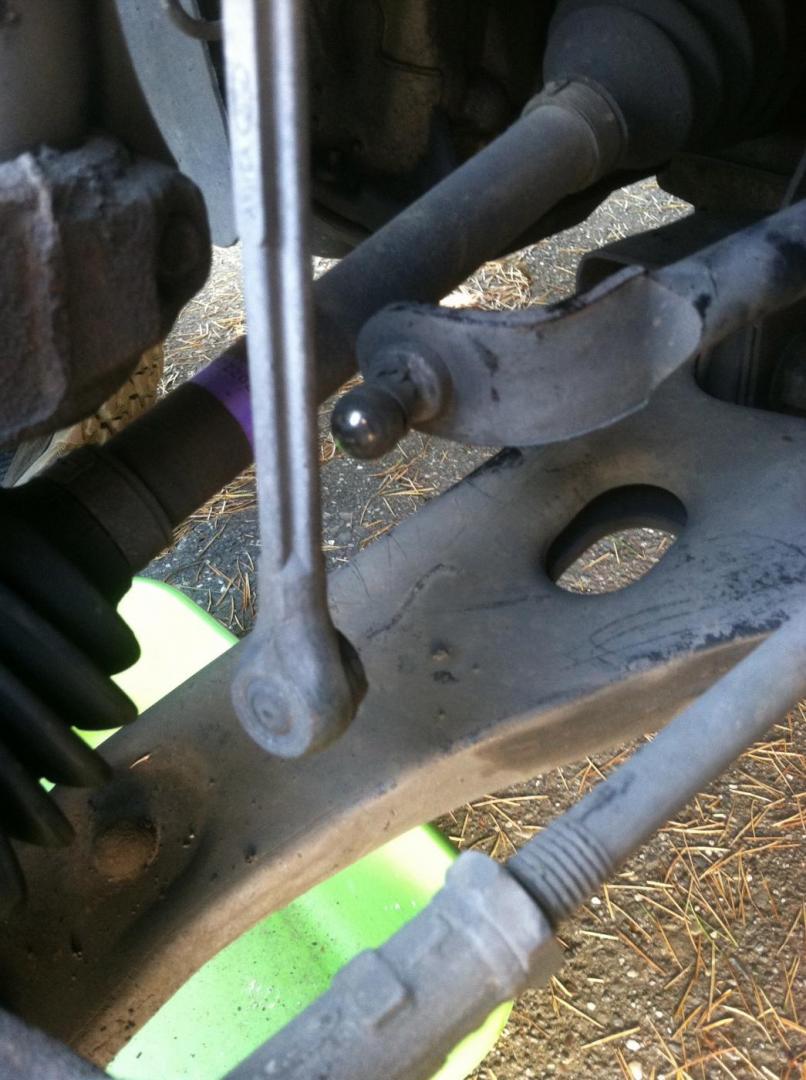 IMG_1195.thumb.jpg.871863467c69a0b12c418